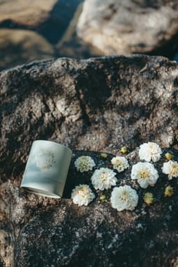 Lakrits Goji 15 tepåsar thumbnail 1