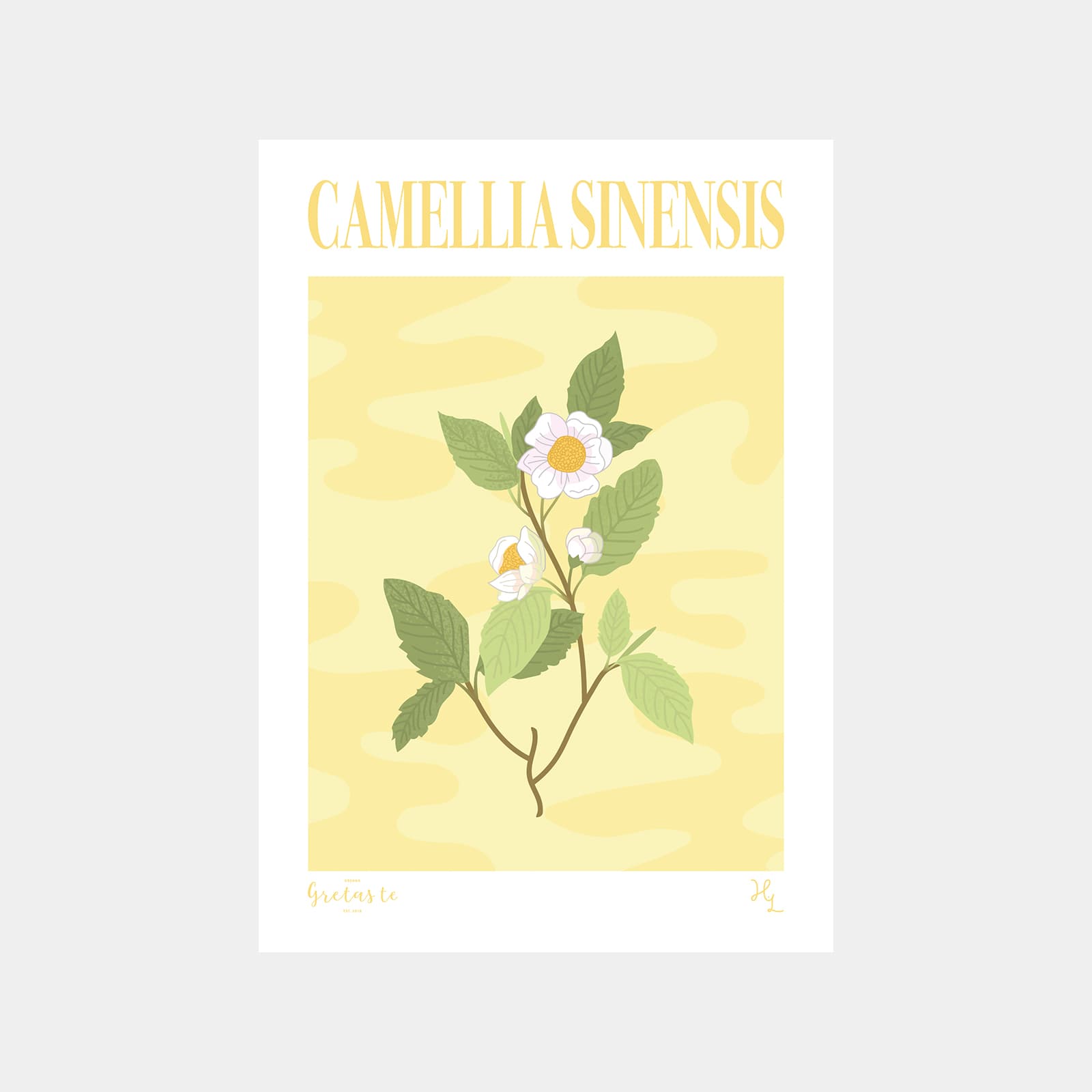 Poster Camellia Sinensis A3 - Image 1